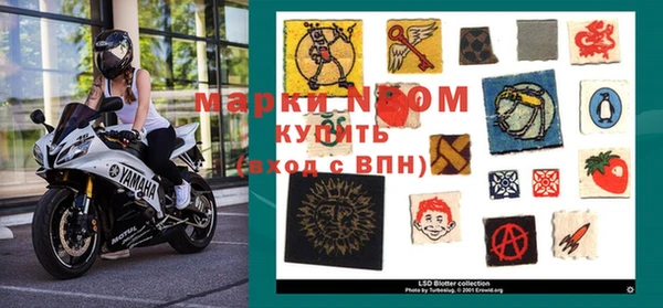 ПСИЛОЦИБИНОВЫЕ ГРИБЫ Рославль