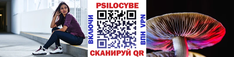 Псилоцибиновые грибы MAGIC MUSHROOMS  купить наркотики цена  Самара 