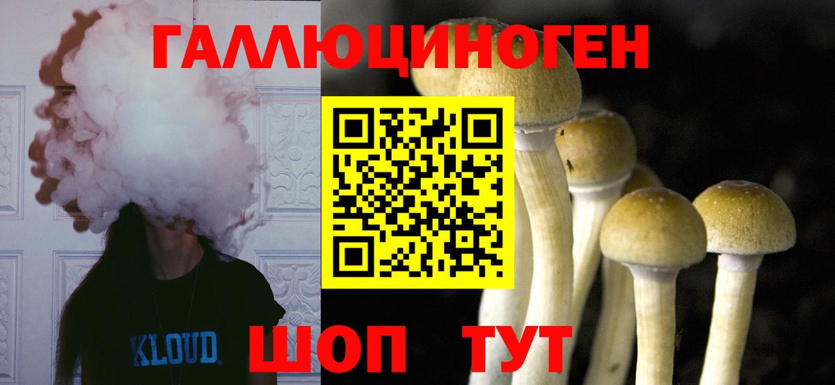 Галлюциногенные грибы Cubensis Самара