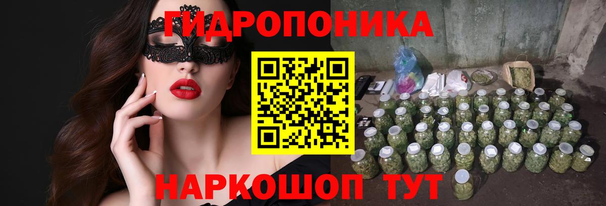 Бошки марихуана SATIVA & INDICA  Канабис марихуана  Самара  МАРИХУАНА планчик  МАРИХУАНА индика  Вход с VPN 